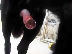 Thumb 18